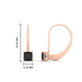 Thumbnail 29 - half-carat-princess-cut-black-diamond-lever-back-earrings-in-rose-gold-FDEAR9225PRGBLACK-0.50CT-NL-RG