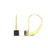 Load image into Gallery viewer, half-carat-princess-cut-black-diamond-lever-back-earrings-in-yellow-gold-FDEAR9225PRGBLACK-0.50CT-NL-YG