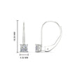 Load image into Gallery viewer, half-carat-princess-cut-diamond-lever-back-earrings-in-white-gold-FDEAR9225PR-0.50CT-NL-WG