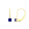 Load image into Gallery viewer, half-carat-princess-cut-sapphire-lever-back-earrings-in-yellow-gold-FDEAR9225PRGSABL-0.50CT-NL-YG