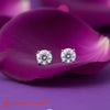 Load image into Gallery viewer, lab-grown-diamond-round-cut-stud-earring-in-white-gold-FDEAR4RO-fancy1.jpg?v=1763443498