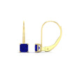 Load image into Gallery viewer, lever-back-princess-cut-1-ct.-sapphire-stud-earring-in-yellow-gold-FDEAR9225PRGSABL-1.00CT-NL-YG