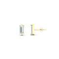 Thumbnail 22 - minimalist-single-baguette-stud-in-yellow-gold-fdear11011angle2-nl-yg_aecb5a39-1405-4f35-8e55-54454d241f68.jpg?v=1771394515