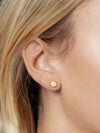 Load image into Gallery viewer, modern-hexagon-stud-earrings-in-14k-yellow-gold-FDRC17409-yg