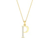 Load image into Gallery viewer, p-alphabet-pendant-with-chain-in-FDPD11292P-NL-YG