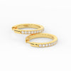 Load image into Gallery viewer, pave-set-round-diamond-hinged-hoop-earrings-in-yellow-gold-FDEAR11478ANGLE1-NL-YG.jpg