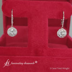 Load and play video in Gallery viewer, Lever Back Round Dangle Earrings