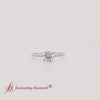 Load and play video in Gallery viewer, french-pave-round-petite-emerald-engagement-ring-in-white-gold-FD9918