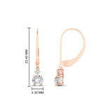 Load image into Gallery viewer, 0.50-carat-round-diamond-2-stone-dangle-lever-back-earring-in-rose-gold-FDEAR11242-0.50CT-NL-RG.jpg
