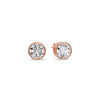 Load image into Gallery viewer, round-stud-bezel-set-1.50-carat-earring-in-rose-gold-FDEAR10516ROANGLE1-1.50-CT-NL-RG.jpg?v=1768907354