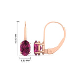 Load image into Gallery viewer, stud-3-carat-oval-pink-sapphire-lever-back-earrings-in-rose-gold-FDEAR9225OVGSADRPI-3.00CT-NL-RG
