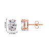 Load image into Gallery viewer, Stud Mens Earring Basket Oval Shaped