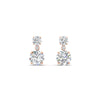 Load image into Gallery viewer, two-stone-round-diamond-drop-earrings-in-rose-gold-FD-EAR11200ANGLE2-NL-RG