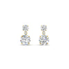 Load image into Gallery viewer, two-stone-round-diamond-drop-earrings-in-yellow-gold-FD-EAR11200ANGLE2-NL-YG